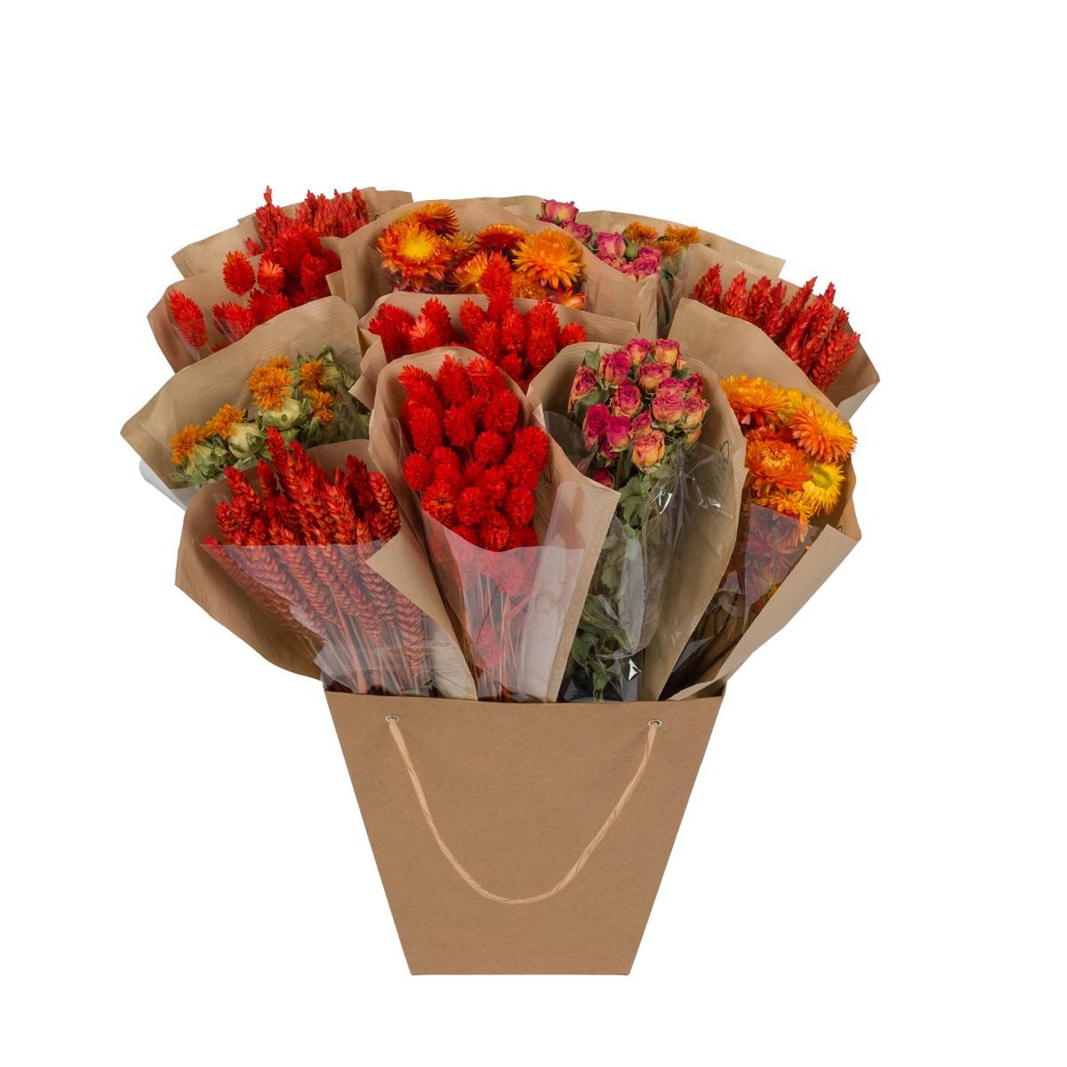 Droogbloemen en pot  Hauteur 50cm. Plante verte type Droogbloemen, livrée en pot, idéale pour intérieur lumineux.