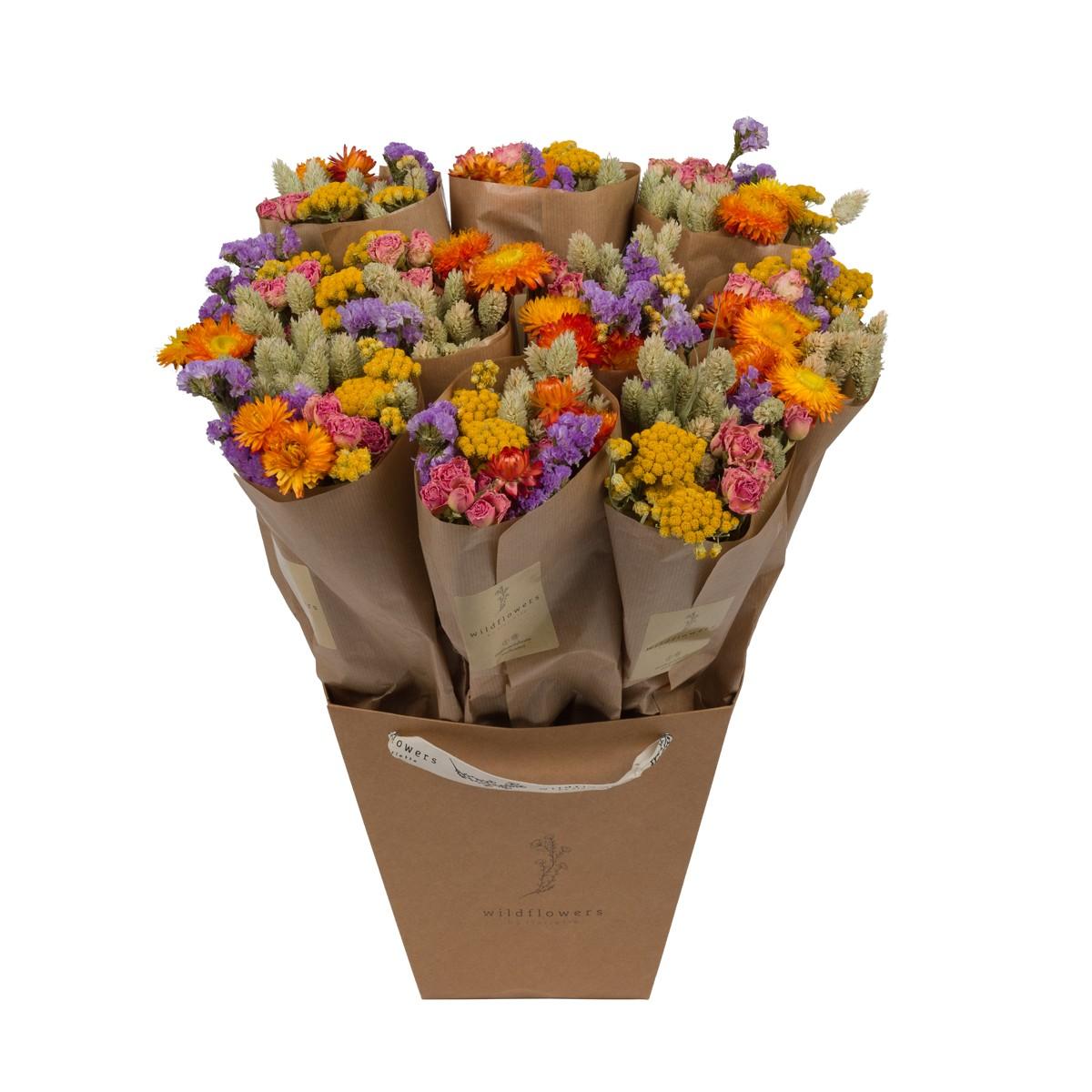 Droogbloemen en pot  Hauteur 50cm. Plante verte type Droogbloemen, livrée en pot, idéale pour intérieur lumineux.