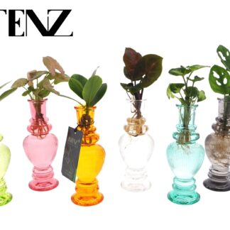 Kamerplanten Mix in Venice Glas en pot Ø7cm  Hauteur 20cm. Plante verte type Kamerplanten Mix in Venice Glas, livrée en pot, idéale pour intérieur lumineux.