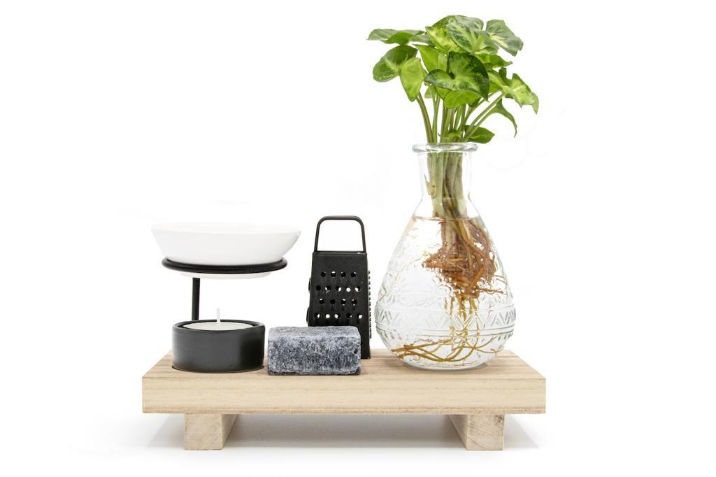 Happiness In A Box en pot Ø10cm  Hauteur 15cm. Plante verte type Happiness In A Box, livrée en pot, idéale pour intérieur lumineux.