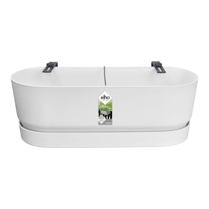 Elho Pot Greenville Easy Balcony D25cm en pot. Plante verte type Elho Pot Greenville Easy Balcony D25cm, livrée en pot, idéale pour intérieur lumineux.