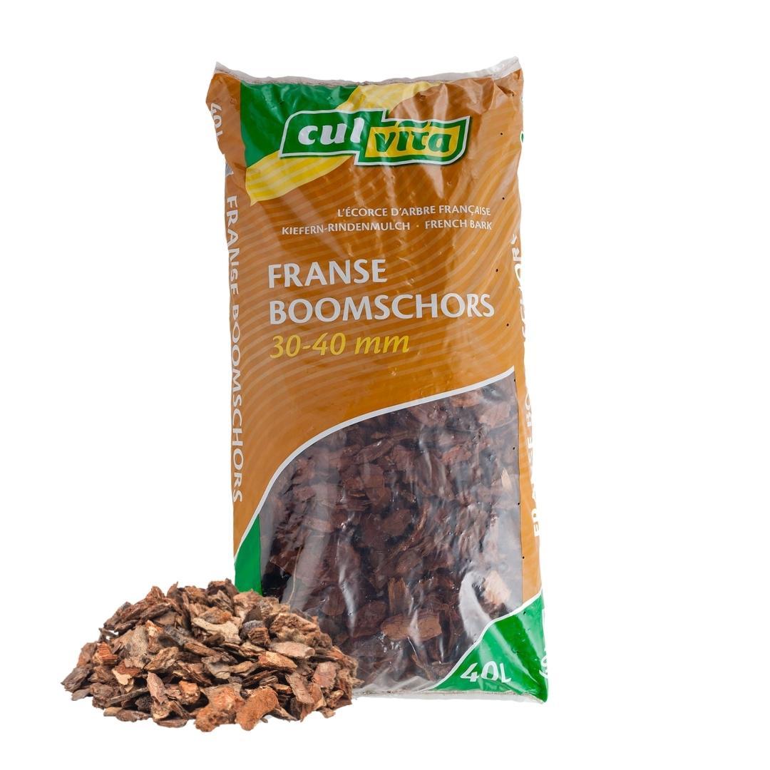 Culvita en pot. Plante verte type Culvita, livrée en pot, idéale pour intérieur lumineux.