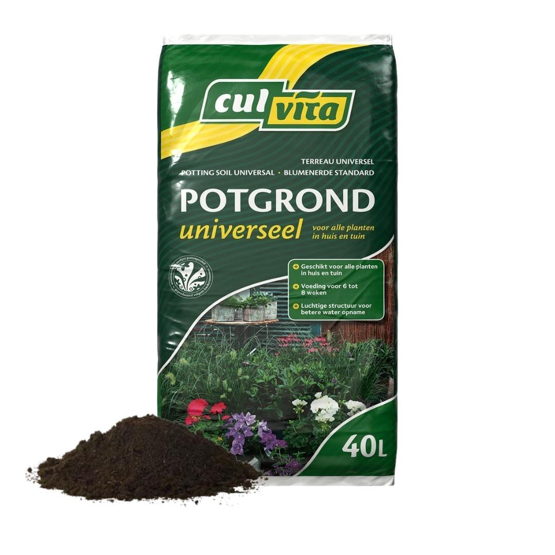 Culvita Universele Potgrond inclusief 2 maanden plantenvoeding en pot. Plante verte type Culvita Universele Potgrond inclusief 2 maanden plantenvoeding, livrée en pot, idéale pour intérieur lumineux.