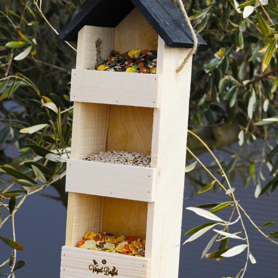 Bird en pot. Plante verte type Bird, livrée en pot, idéale pour intérieur lumineux. – Image 2