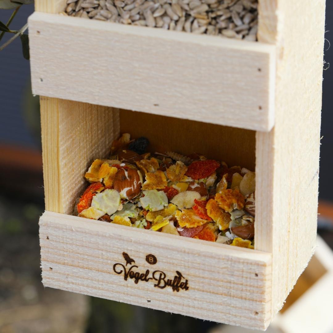 Bird en pot. Plante verte type Bird, livrée en pot, idéale pour intérieur lumineux. – Image 3