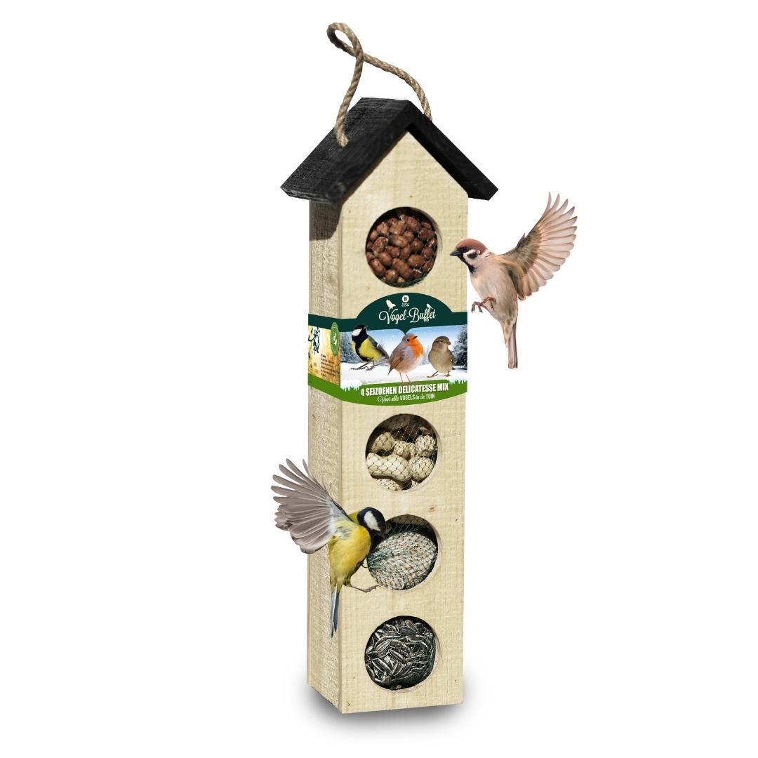 Bird en pot. Plante verte type Bird, livrée en pot, idéale pour intérieur lumineux.