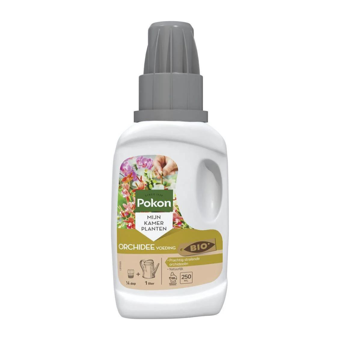 Pokon bio orchidee voeding 250 ml en pot. Plante verte type Pokon bio orchidee voeding 250 ml, livrée en pot, idéale pour intérieur lumineux.
