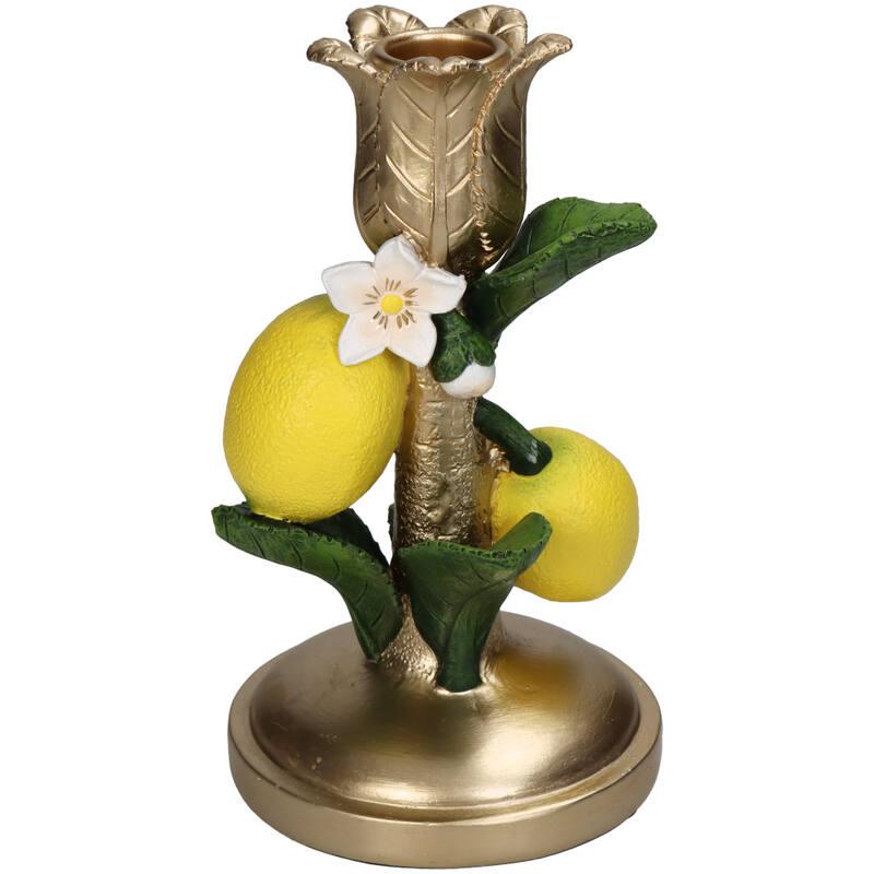 Kandelaar en pot. Plante verte type Kandelaar, livrée en pot, idéale pour intérieur lumineux.