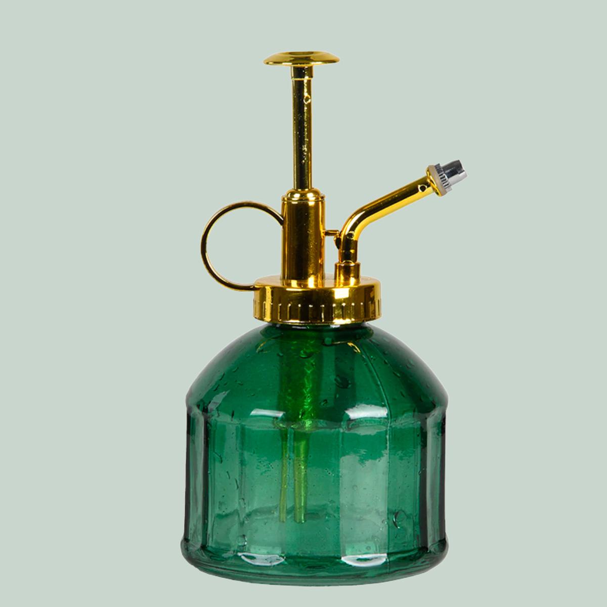 Plant mister green glass en pot. Plante verte type Plant mister green glass, livrée en pot, idéale pour intérieur lumineux.