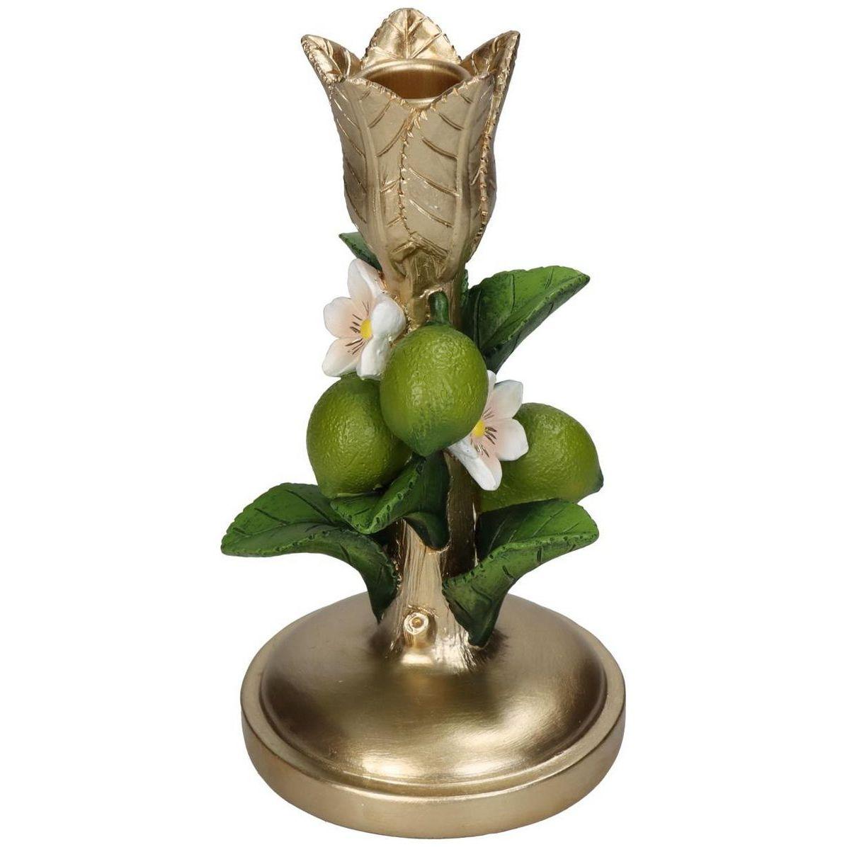 Candle stick Lime Green Gold en pot. Plante verte type Candle stick Lime Green Gold, livrée en pot, idéale pour intérieur lumineux.