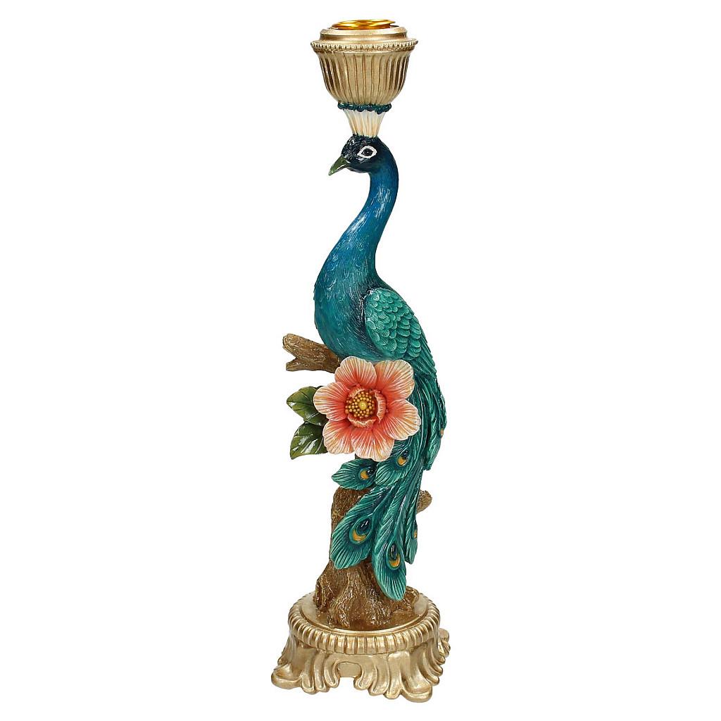 Kandelaar en pot. Plante verte type Kandelaar, livrée en pot, idéale pour intérieur lumineux.