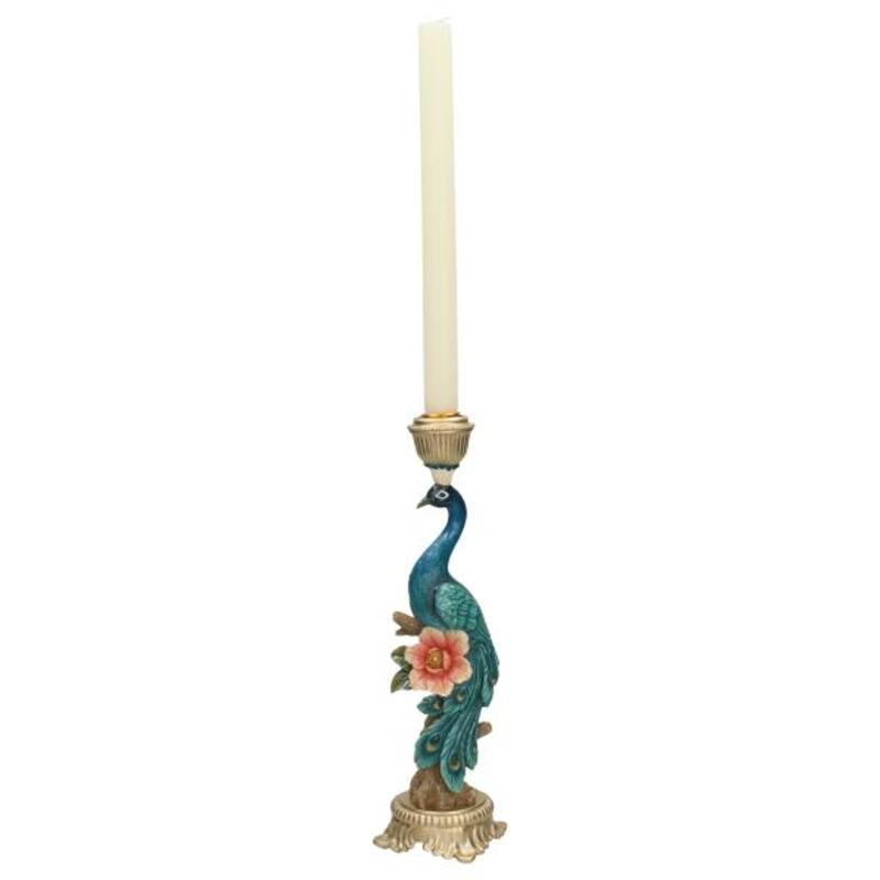 Kandelaar en pot. Plante verte type Kandelaar, livrée en pot, idéale pour intérieur lumineux. – Image 3