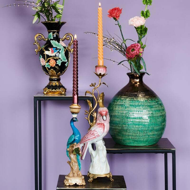 Kandelaar en pot. Plante verte type Kandelaar, livrée en pot, idéale pour intérieur lumineux. – Image 7