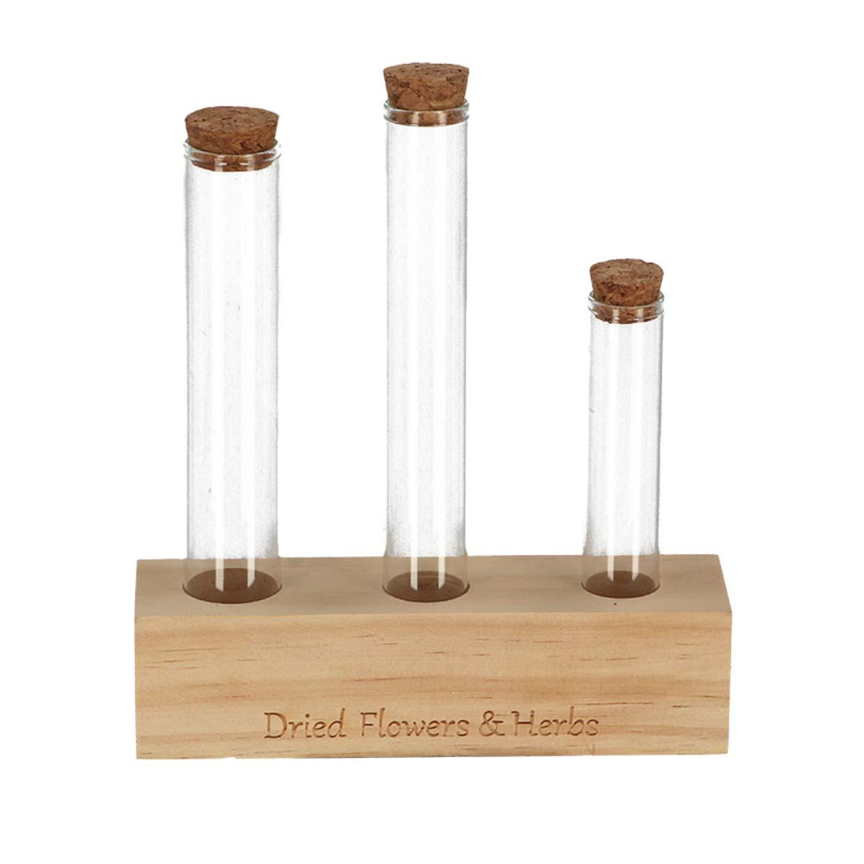 Wooden Dried flower stand en pot. Plante verte type Wooden Dried flower stand, livrée en pot, idéale pour intérieur lumineux.