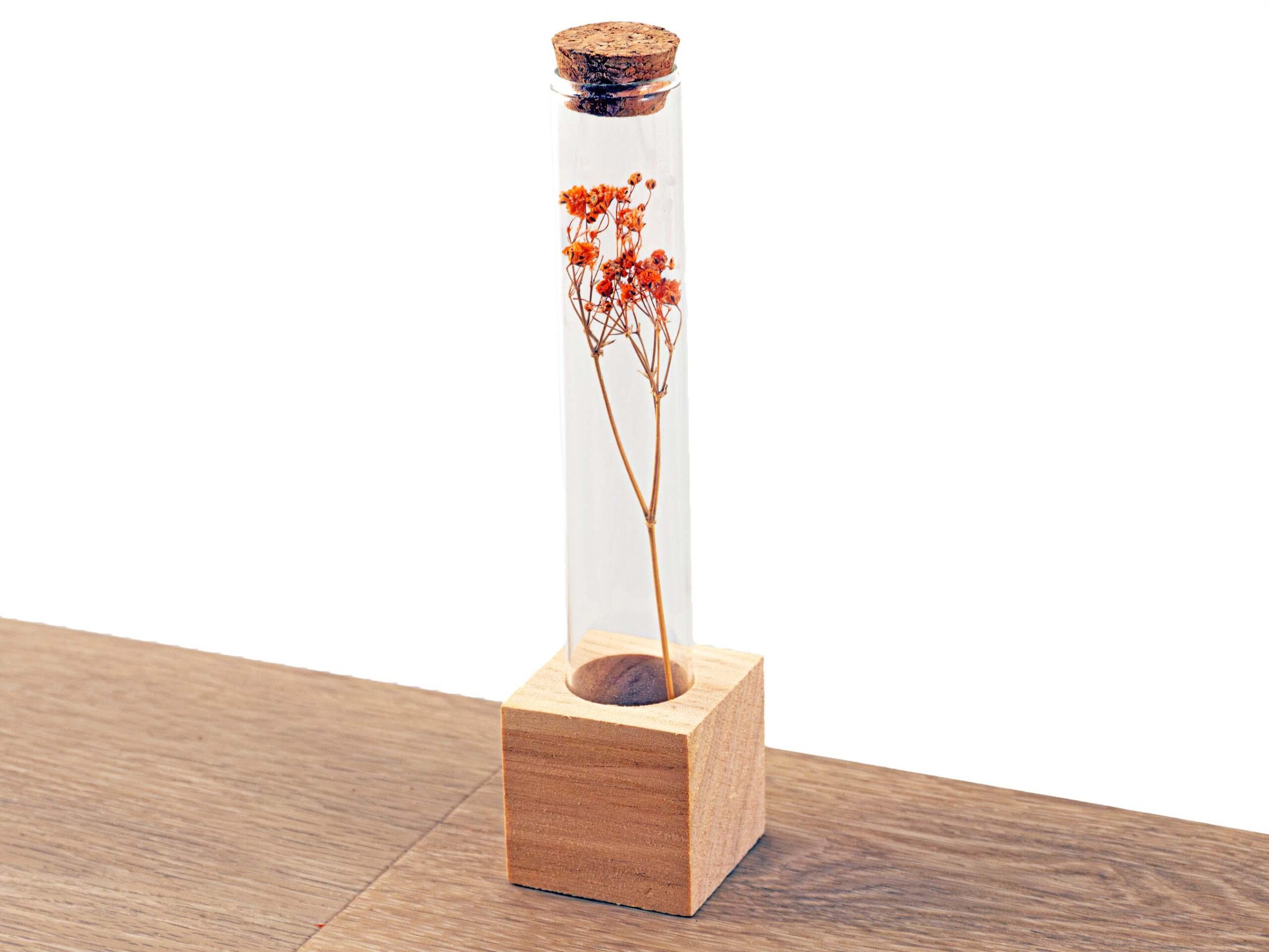 Wooden Dried flower stand en pot. Plante verte type Wooden Dried flower stand, livrée en pot, idéale pour intérieur lumineux. – Image 2