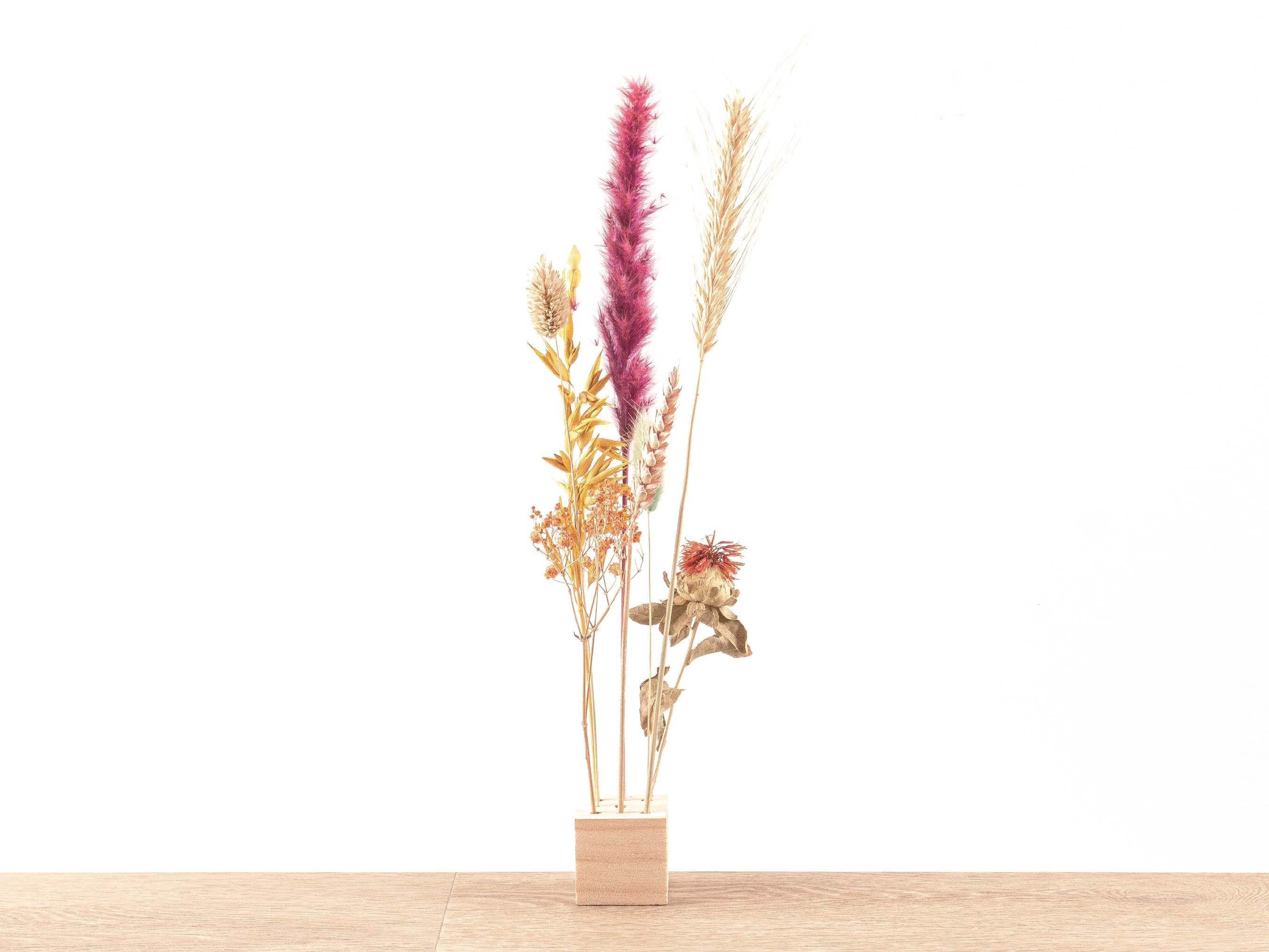 Wooden Dried flower stand en pot. Plante verte type Wooden Dried flower stand, livrée en pot, idéale pour intérieur lumineux.