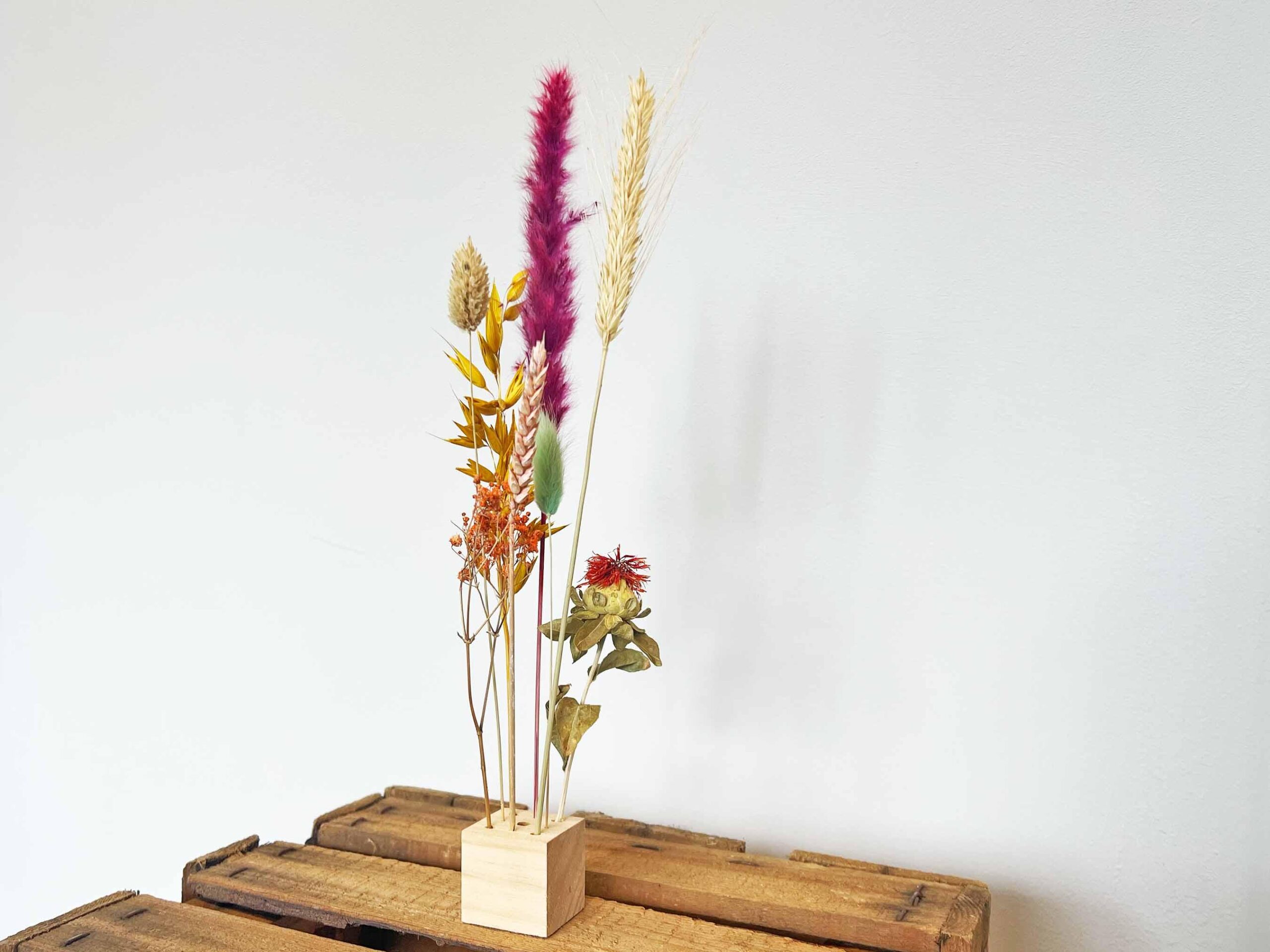 Wooden Dried flower stand en pot. Plante verte type Wooden Dried flower stand, livrée en pot, idéale pour intérieur lumineux. – Image 2