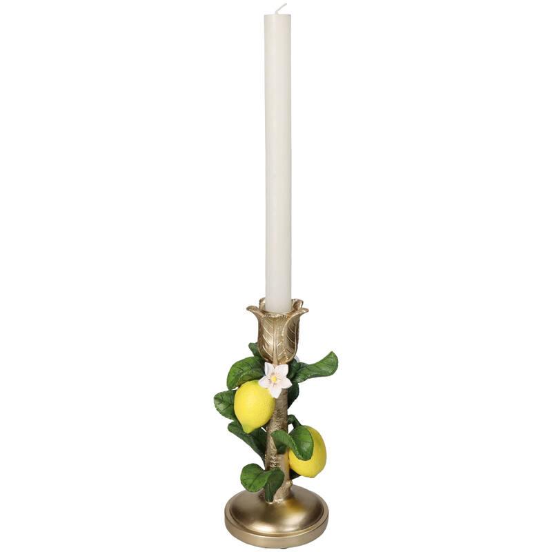 Kandelaar met Citroenplant en pot. Plante verte type Kandelaar met Citroenplant, livrée en pot, idéale pour intérieur lumineux. – Image 2