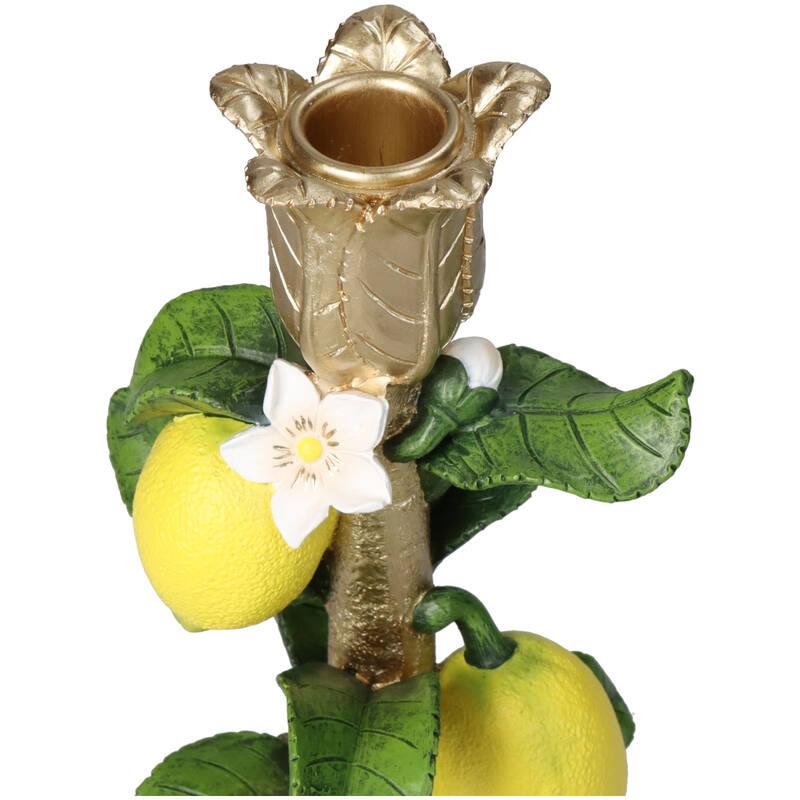 Kandelaar met Citroenplant en pot. Plante verte type Kandelaar met Citroenplant, livrée en pot, idéale pour intérieur lumineux. – Image 3