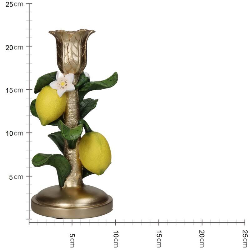 Kandelaar met Citroenplant en pot. Plante verte type Kandelaar met Citroenplant, livrée en pot, idéale pour intérieur lumineux. – Image 5