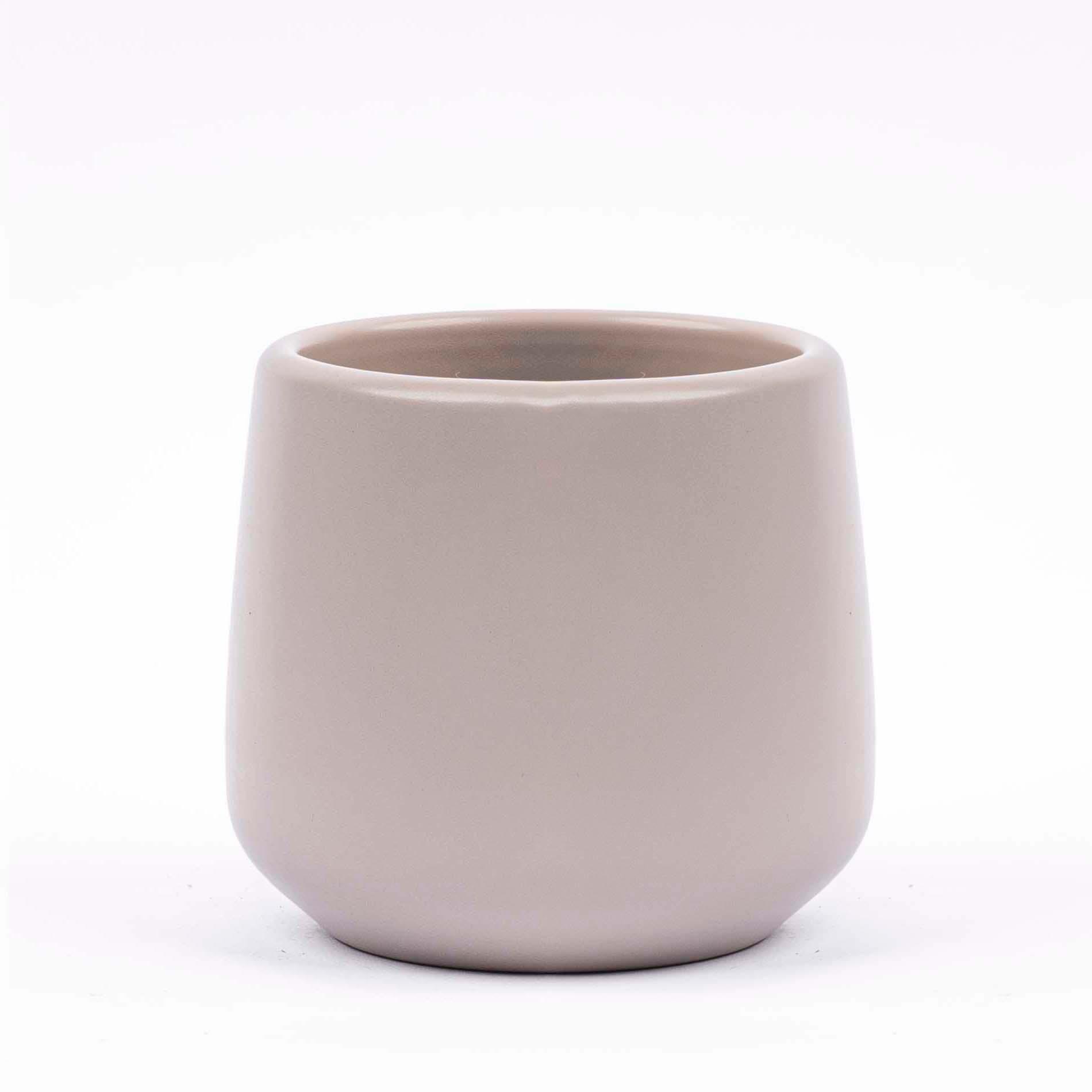 Pot Joey Grijs mat en pot  Hauteur 7cm. Plante verte type Pot Joey Grijs mat, livrée en pot, idéale pour intérieur lumineux.