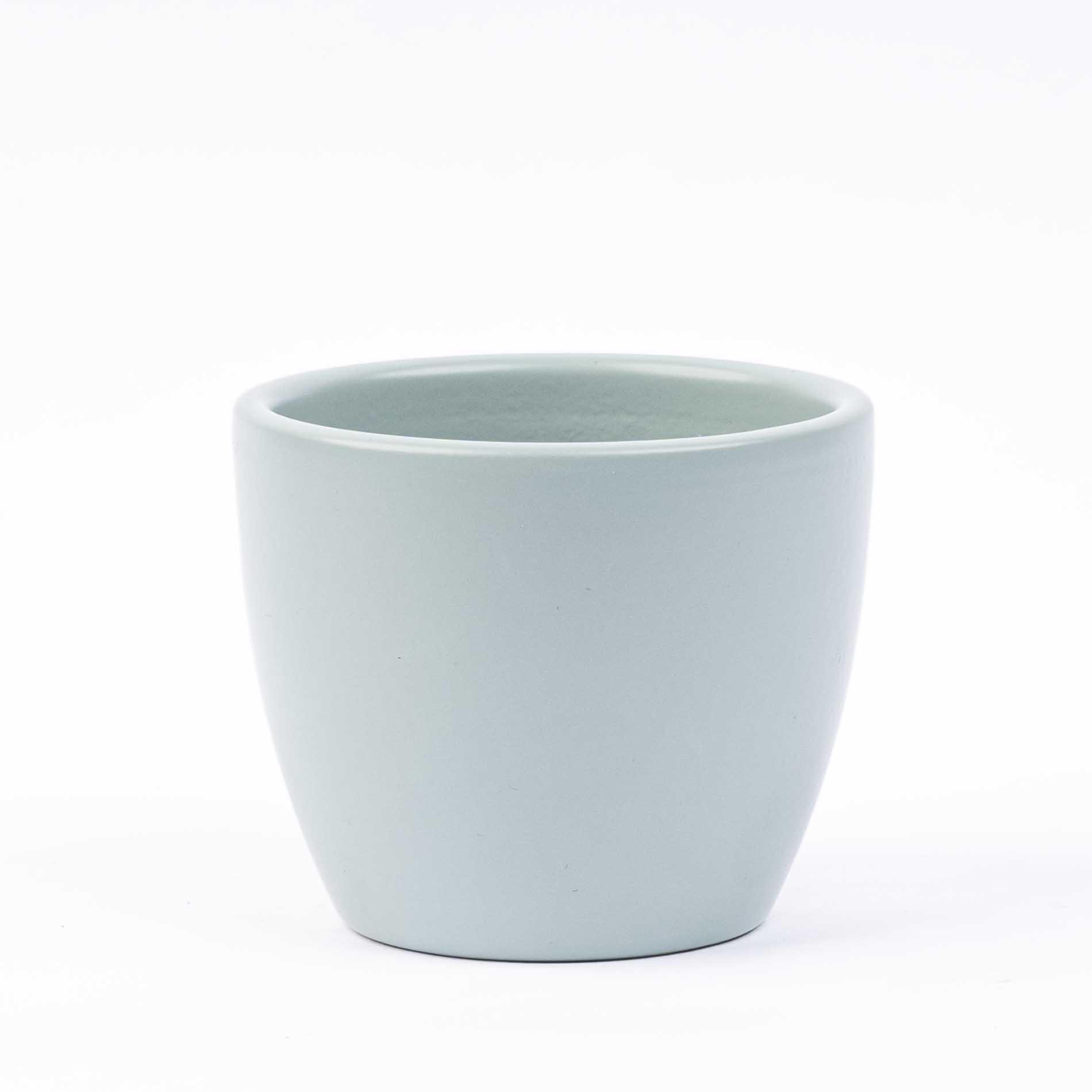 Pot Boule Urbangroen mat en pot  Hauteur 6cm. Plante verte type Pot Boule Urbangroen mat, livrée en pot, idéale pour intérieur lumineux.