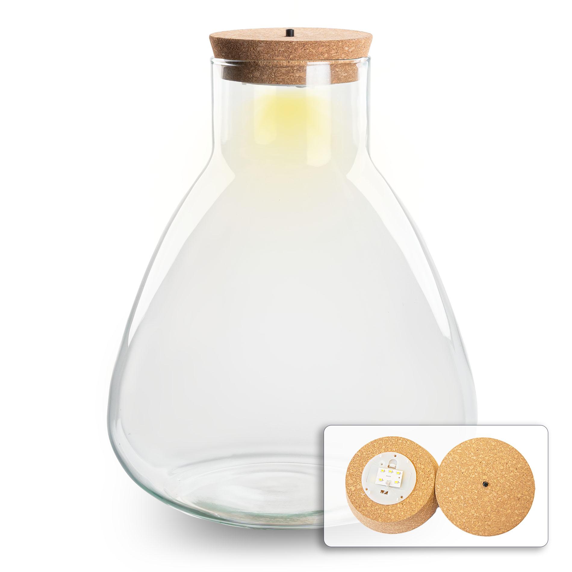 Terrarium fles met kurk en pot. Plante verte type Terrarium fles met kurk, livrée en pot, idéale pour intérieur lumineux.