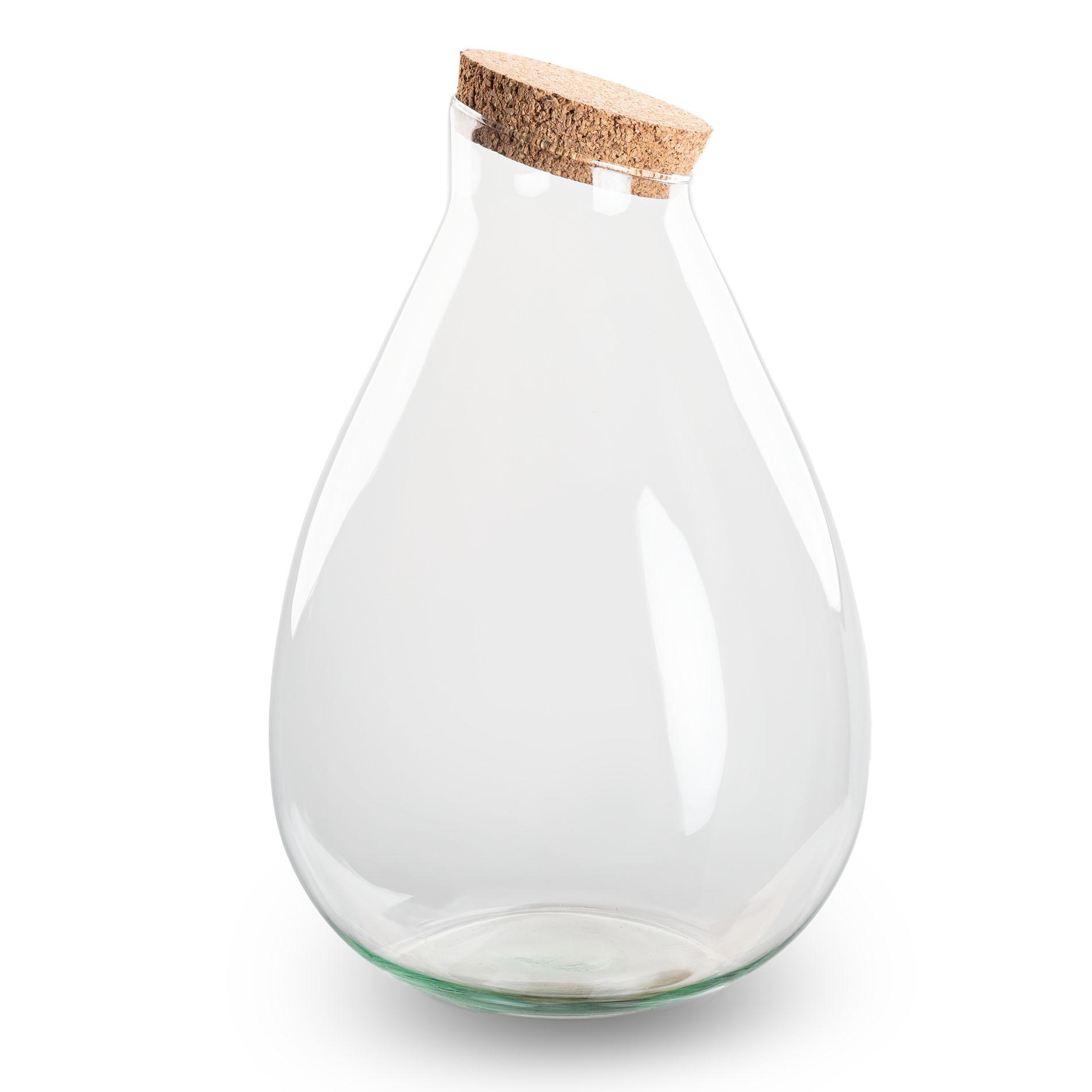 Terrarium fles met kurk en pot. Plante verte type Terrarium fles met kurk, livrée en pot, idéale pour intérieur lumineux.