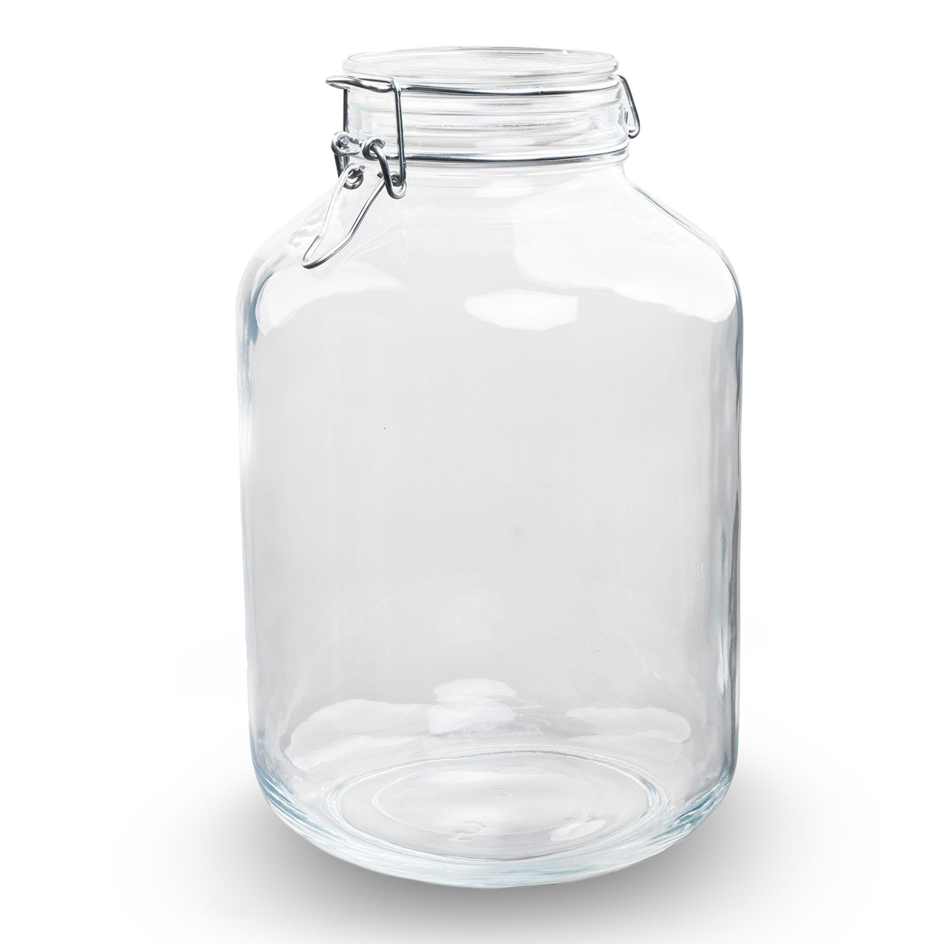 Weckpot Terrarium Jar en pot. Plante verte type Weckpot Terrarium Jar, livrée en pot, idéale pour intérieur lumineux.
