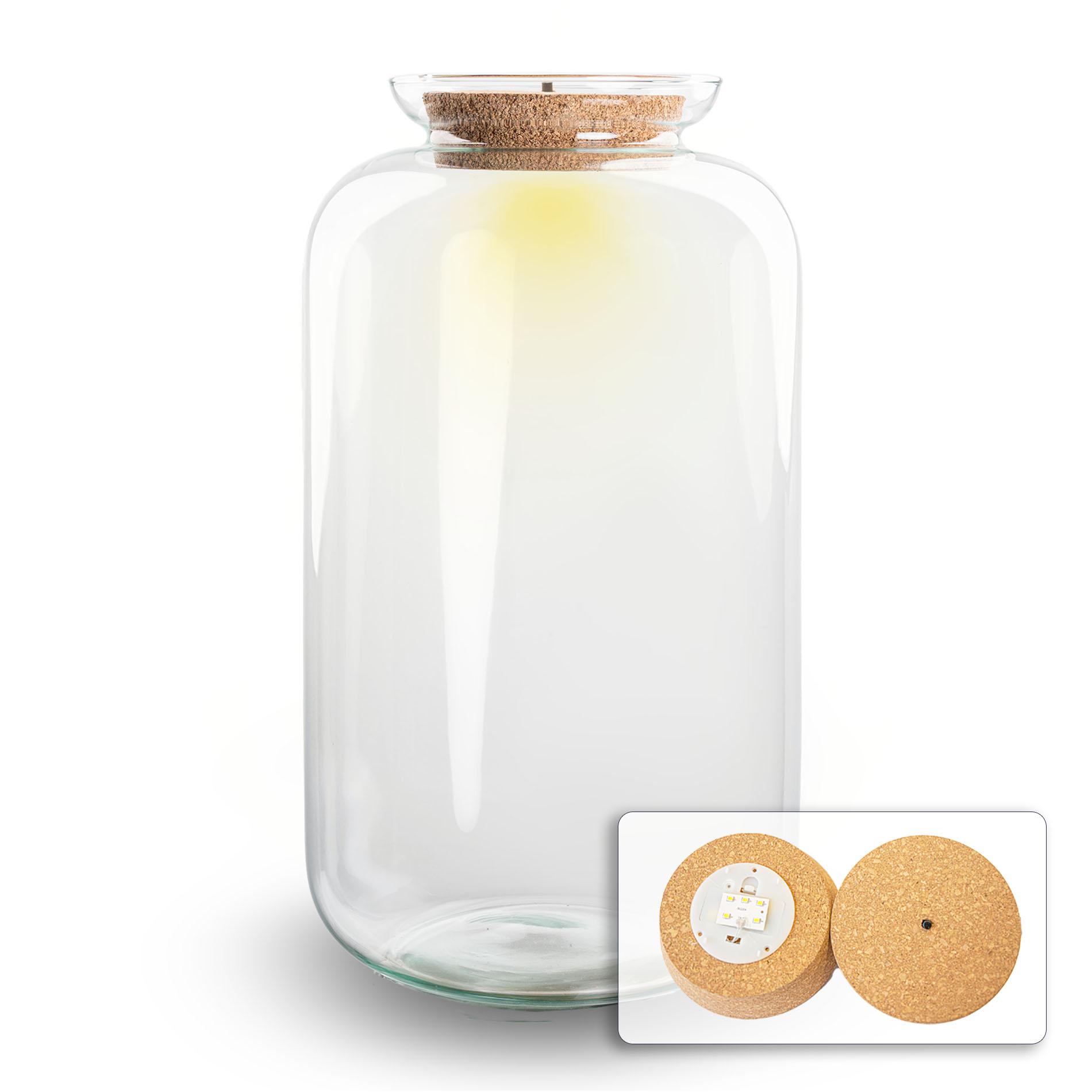 Terrarium fles met verlichting in kurk en pot. Plante verte type Terrarium fles met verlichting in kurk, livrée en pot, idéale pour intérieur lumineux.