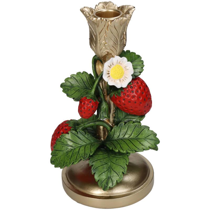 Kandelaar en pot. Plante verte type Kandelaar, livrée en pot, idéale pour intérieur lumineux.