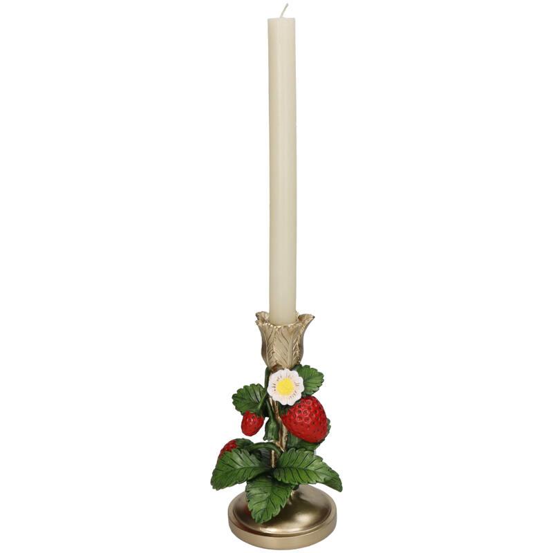 Kandelaar en pot. Plante verte type Kandelaar, livrée en pot, idéale pour intérieur lumineux. – Image 2