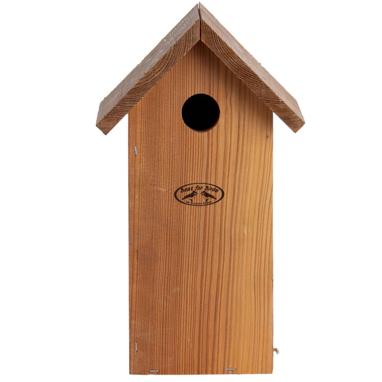 Vogelhuis Koolmees en pot. Plante verte type Vogelhuis Koolmees, livrée en pot, idéale pour intérieur lumineux.