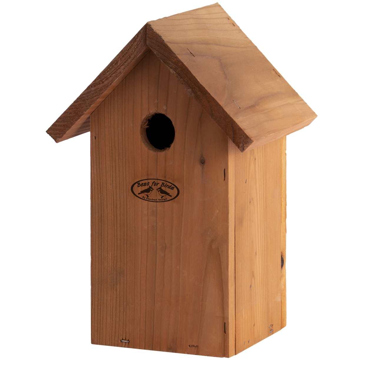 Vogelhuis Pimpelmees en pot. Plante verte type Vogelhuis Pimpelmees, livrée en pot, idéale pour intérieur lumineux.