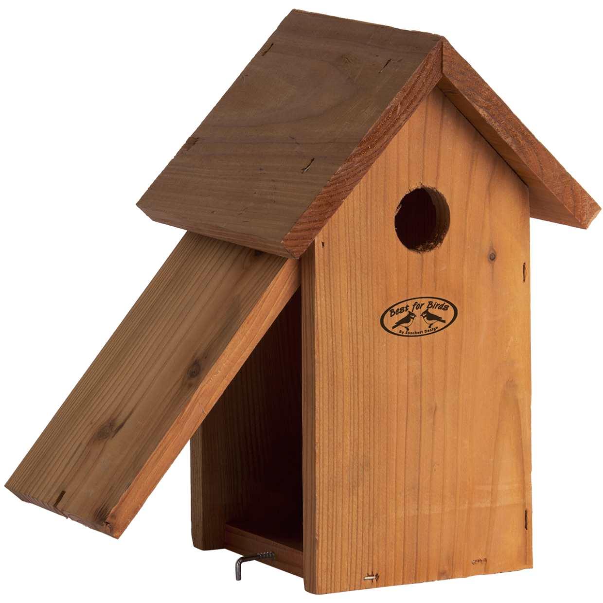 Vogelhuis Pimpelmees en pot. Plante verte type Vogelhuis Pimpelmees, livrée en pot, idéale pour intérieur lumineux. – Image 2