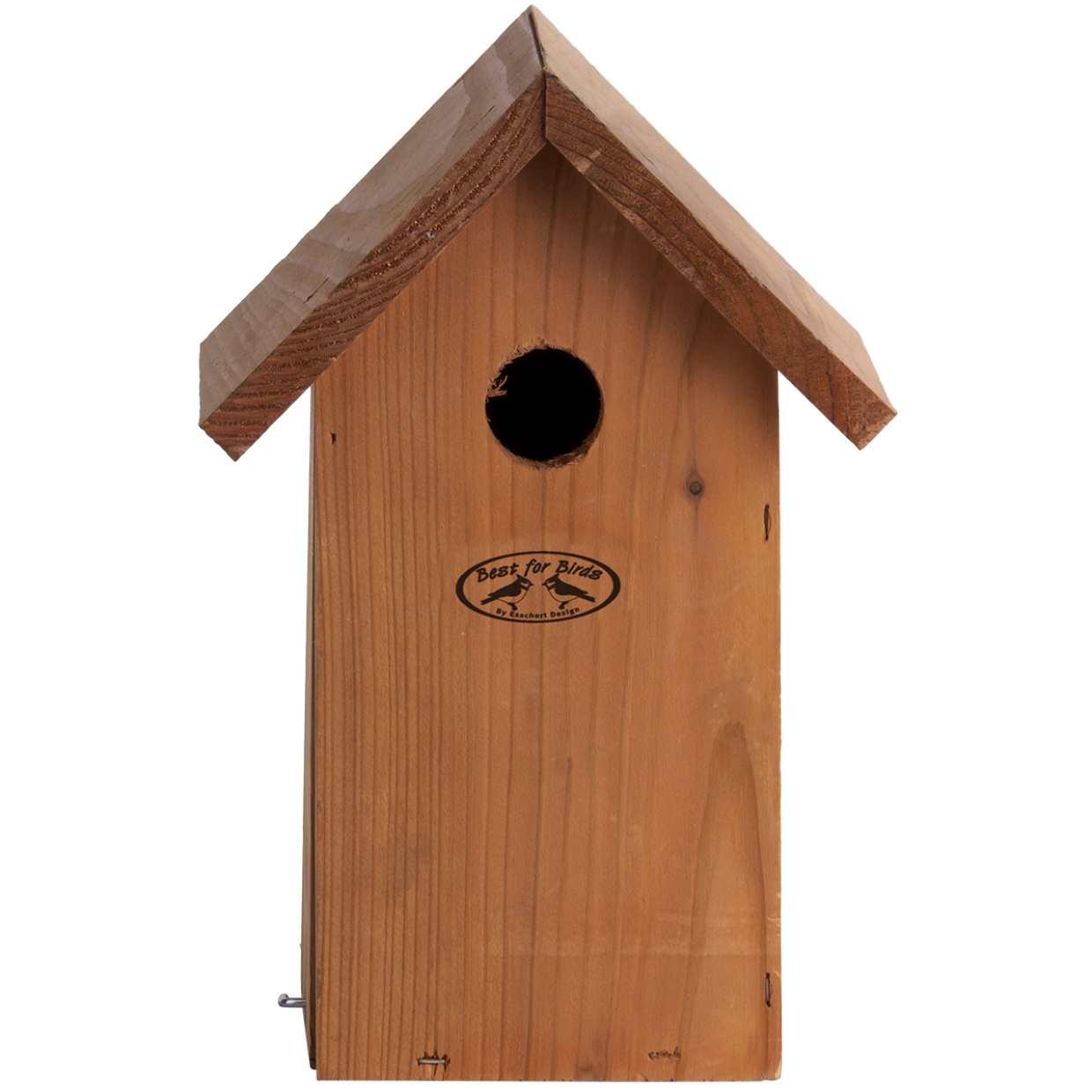 Vogelhuis Pimpelmees en pot. Plante verte type Vogelhuis Pimpelmees, livrée en pot, idéale pour intérieur lumineux. – Image 3