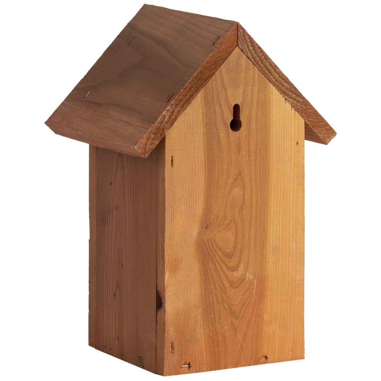 Vogelhuis Pimpelmees en pot. Plante verte type Vogelhuis Pimpelmees, livrée en pot, idéale pour intérieur lumineux. – Image 4