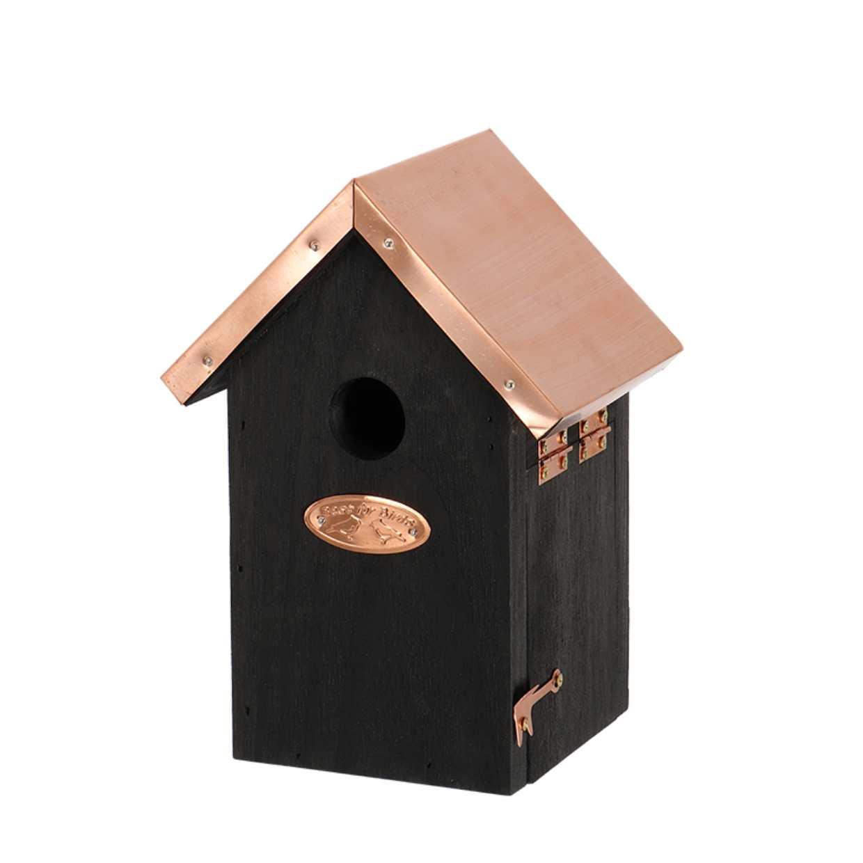 Vogelhuis Winterkoning en pot. Plante verte type Vogelhuis Winterkoning, livrée en pot, idéale pour intérieur lumineux.