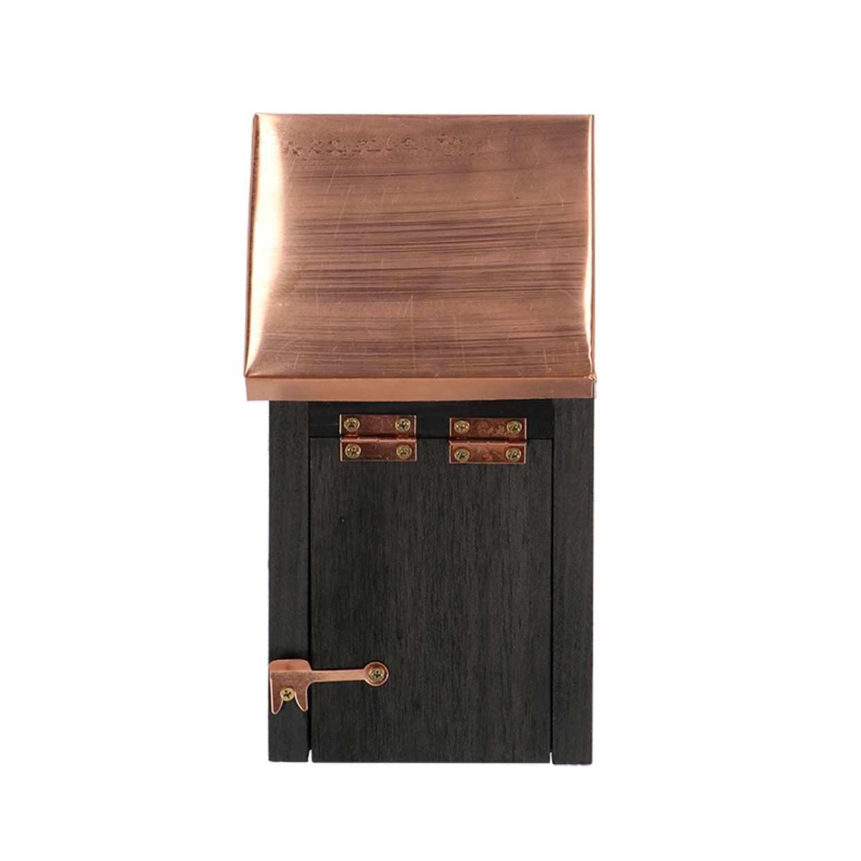 Vogelhuis Winterkoning en pot. Plante verte type Vogelhuis Winterkoning, livrée en pot, idéale pour intérieur lumineux. – Image 3