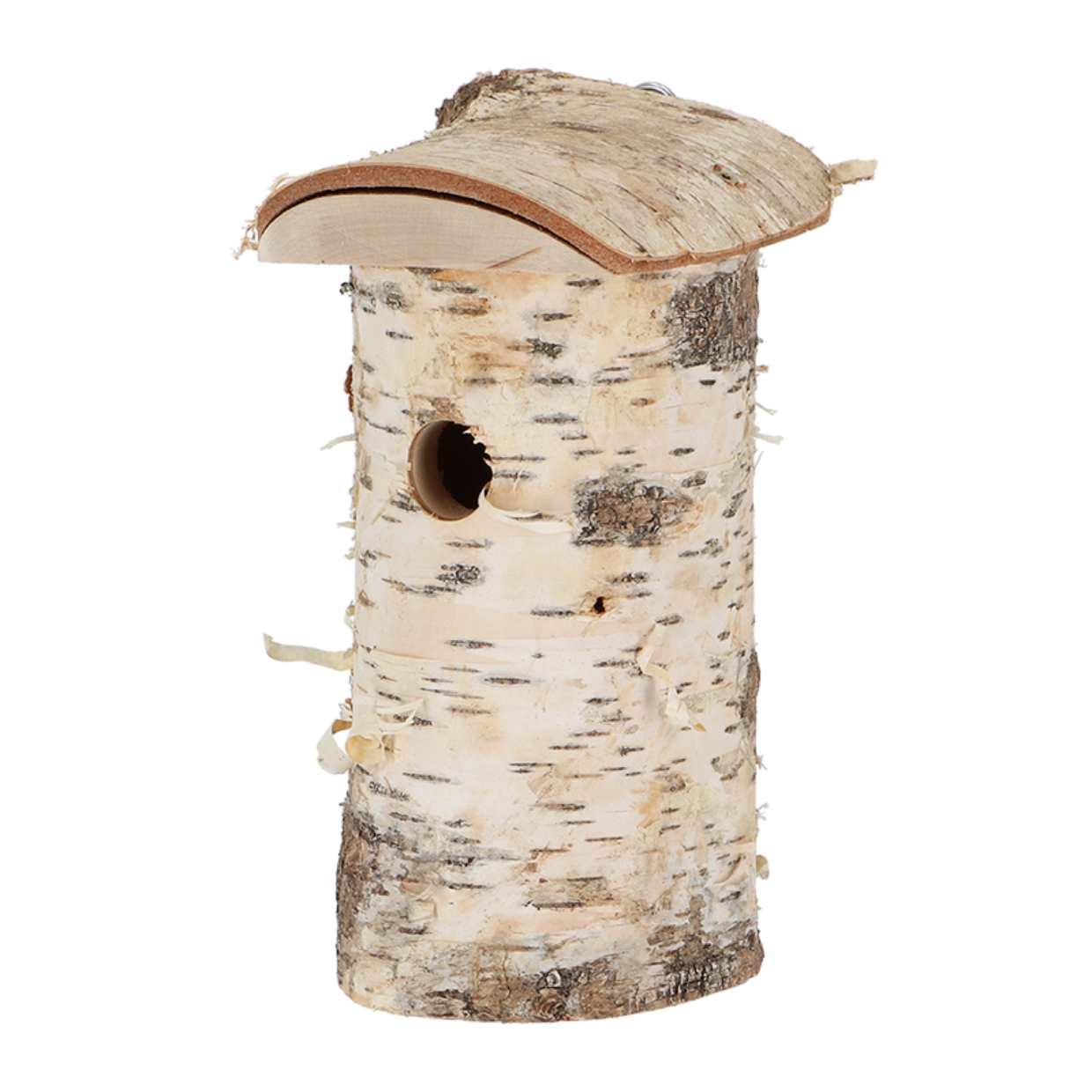 Vogelhuis Pimpelmees en pot. Plante verte type Vogelhuis Pimpelmees, livrée en pot, idéale pour intérieur lumineux.