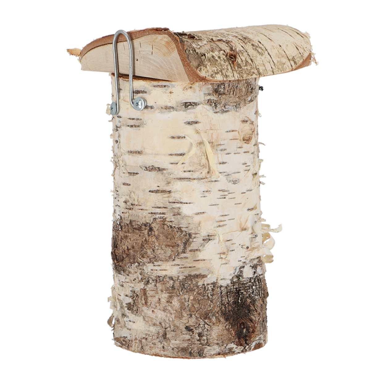 Vogelhuis Pimpelmees en pot. Plante verte type Vogelhuis Pimpelmees, livrée en pot, idéale pour intérieur lumineux. – Image 2