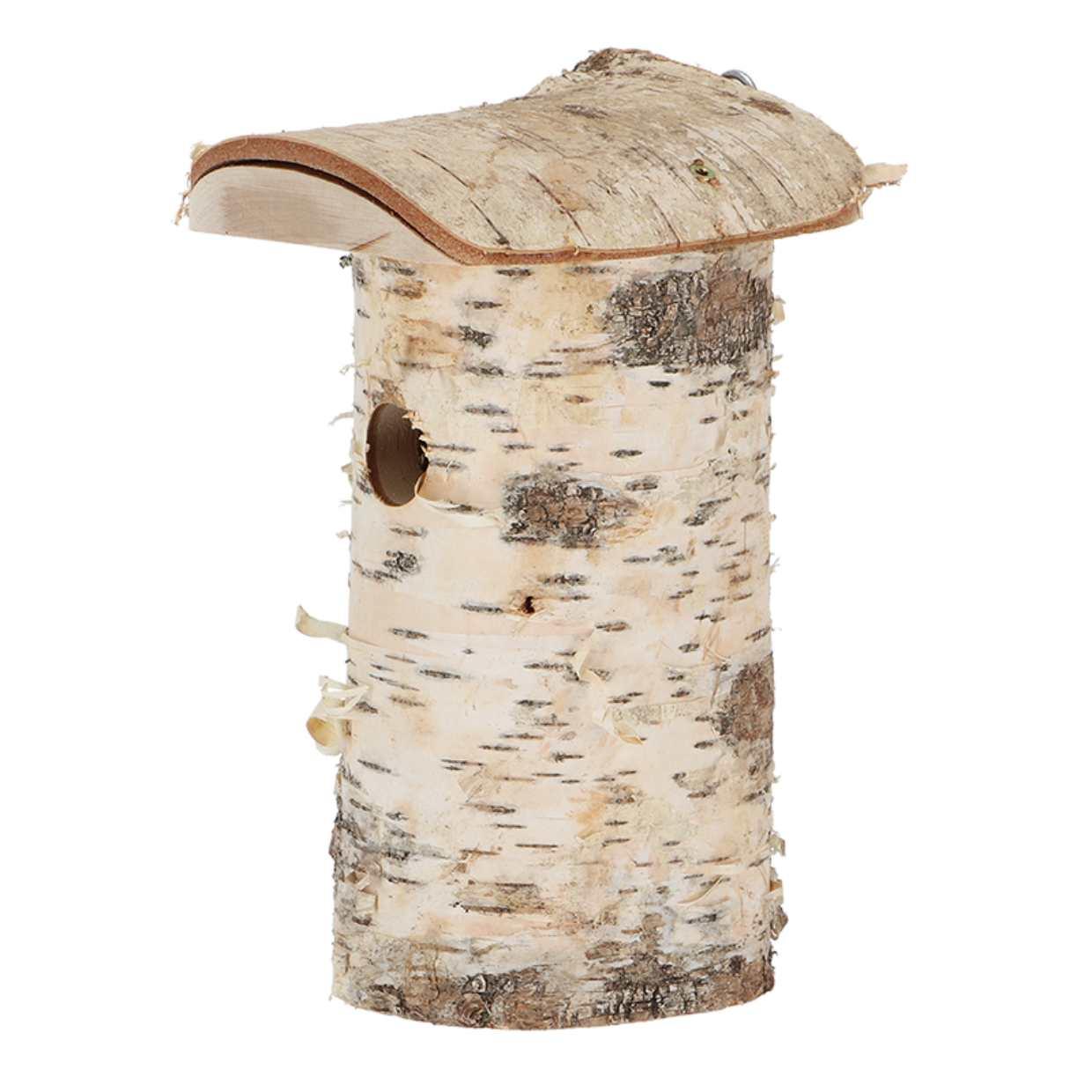 Vogelhuis Pimpelmees en pot. Plante verte type Vogelhuis Pimpelmees, livrée en pot, idéale pour intérieur lumineux. – Image 3