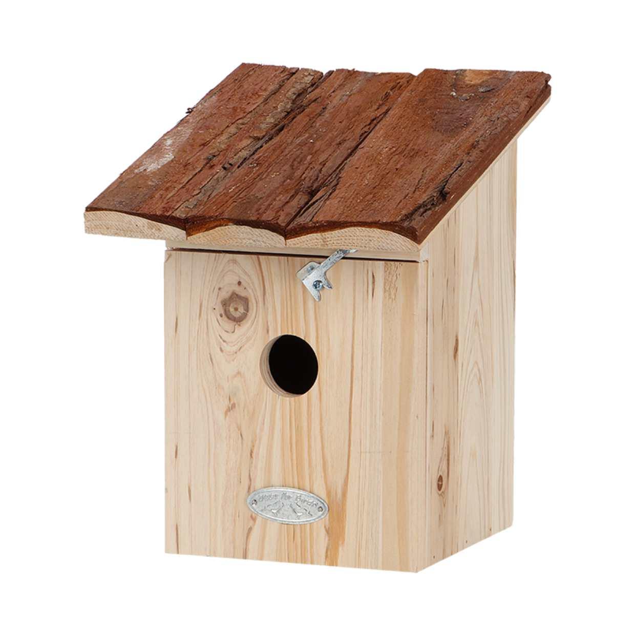 Vogelhuis Koolmees en pot. Plante verte type Vogelhuis Koolmees, livrée en pot, idéale pour intérieur lumineux.