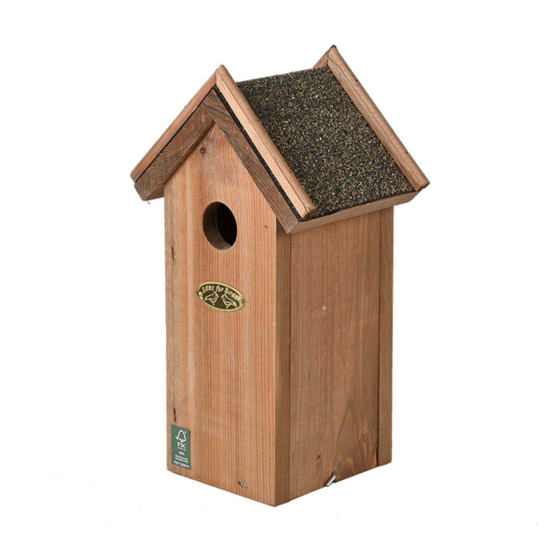 Vogelhuis Pimpelmees en pot. Plante verte type Vogelhuis Pimpelmees, livrée en pot, idéale pour intérieur lumineux.