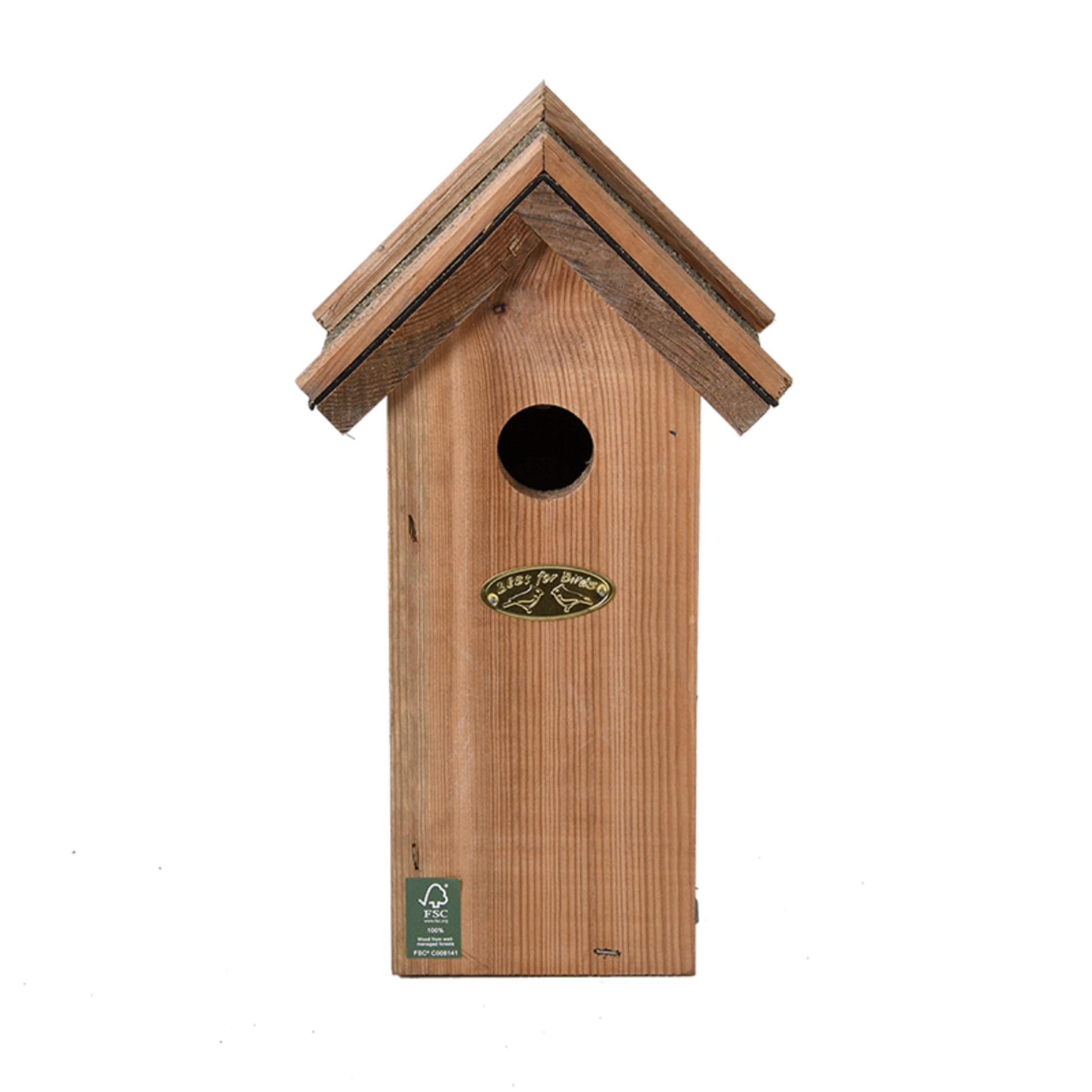 Vogelhuis Pimpelmees en pot. Plante verte type Vogelhuis Pimpelmees, livrée en pot, idéale pour intérieur lumineux. – Image 2