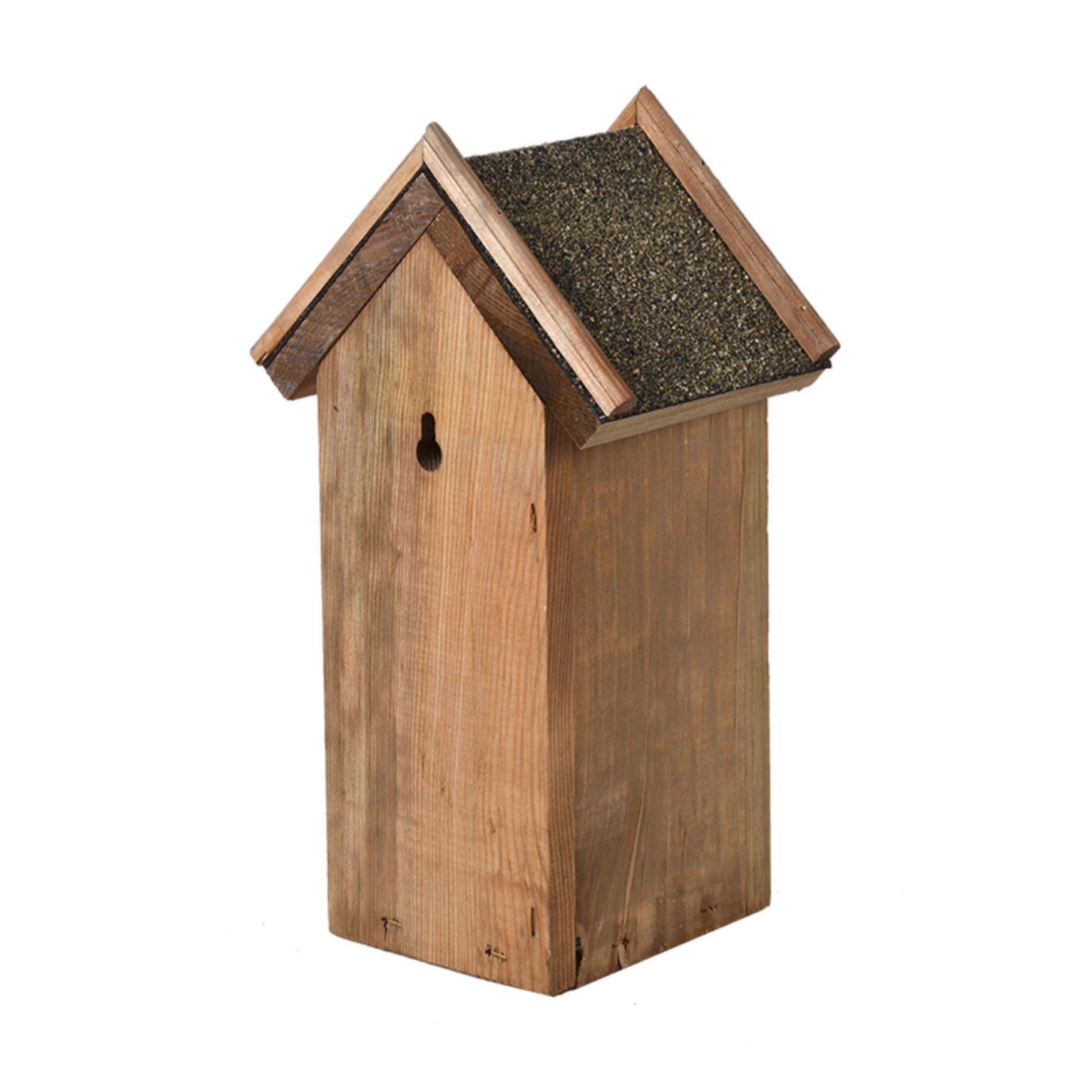 Vogelhuis Pimpelmees en pot. Plante verte type Vogelhuis Pimpelmees, livrée en pot, idéale pour intérieur lumineux. – Image 3