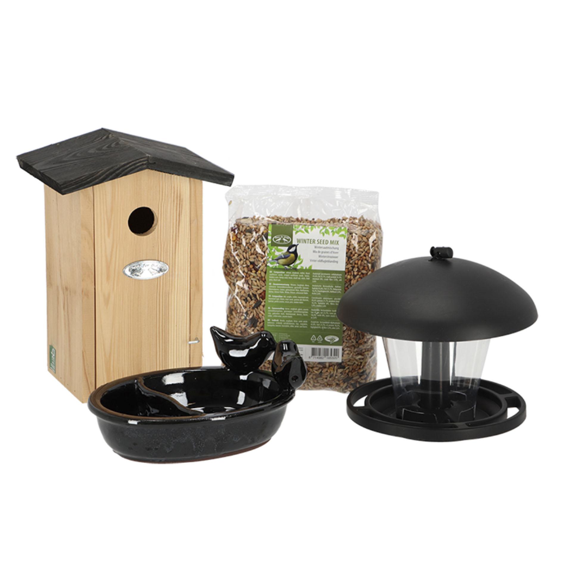 Compleet Vogelpakket en pot. Plante verte type Compleet Vogelpakket, livrée en pot, idéale pour intérieur lumineux.