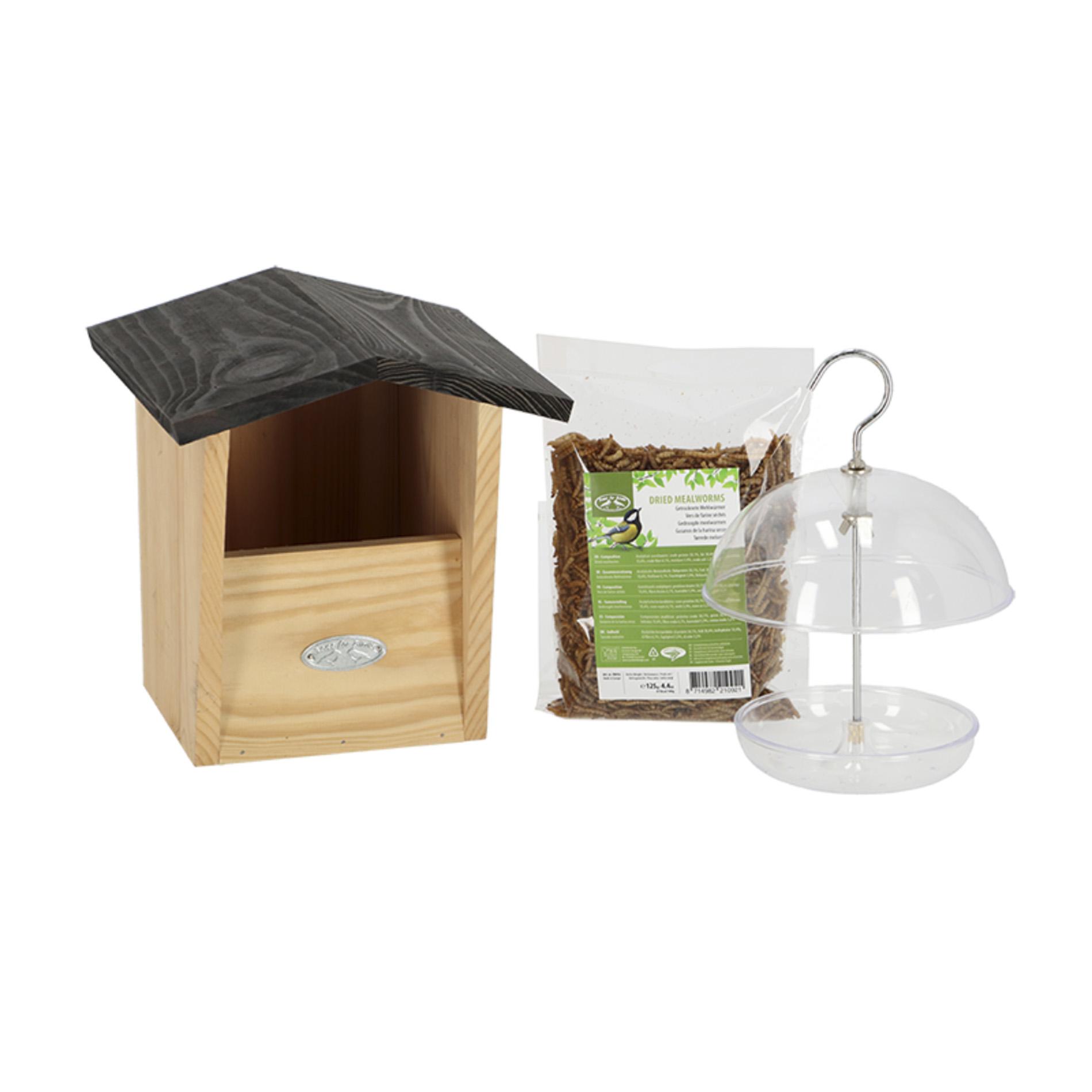 Roodborstpakket en pot. Plante verte type Roodborstpakket, livrée en pot, idéale pour intérieur lumineux.