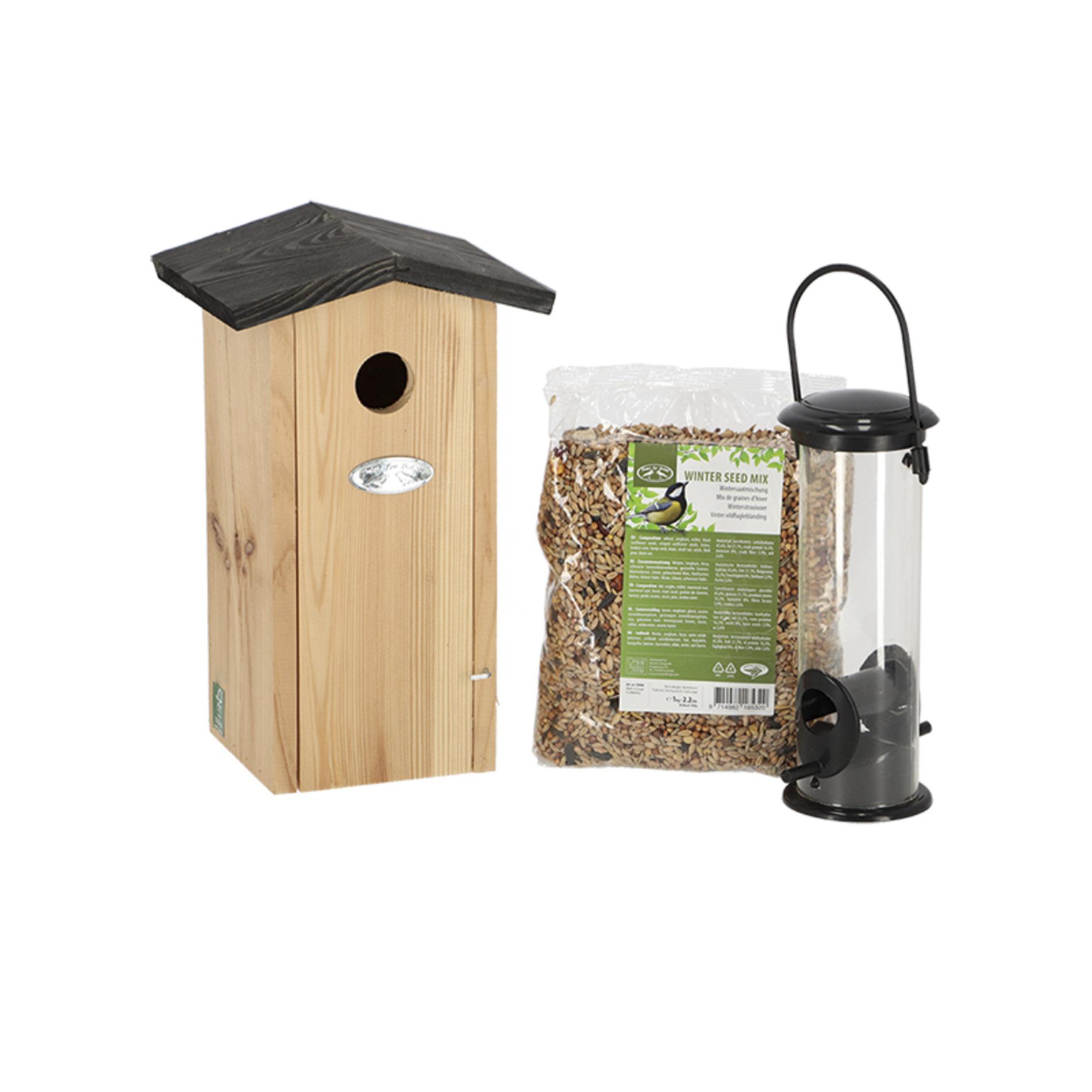 Koolmeespakket en pot. Plante verte type Koolmeespakket, livrée en pot, idéale pour intérieur lumineux.