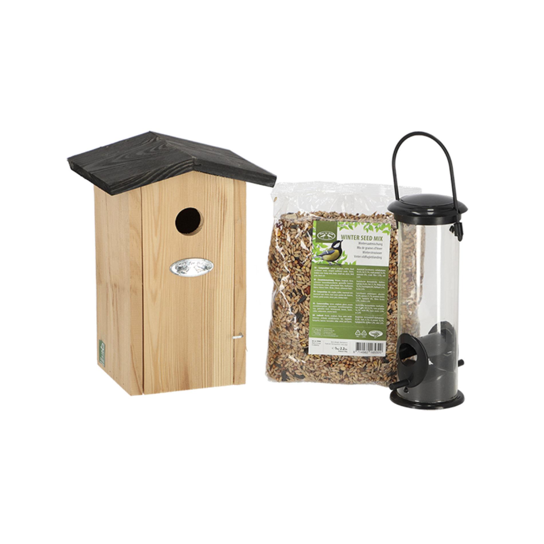 Pimpelmeespakket en pot. Plante verte type Pimpelmeespakket, livrée en pot, idéale pour intérieur lumineux.